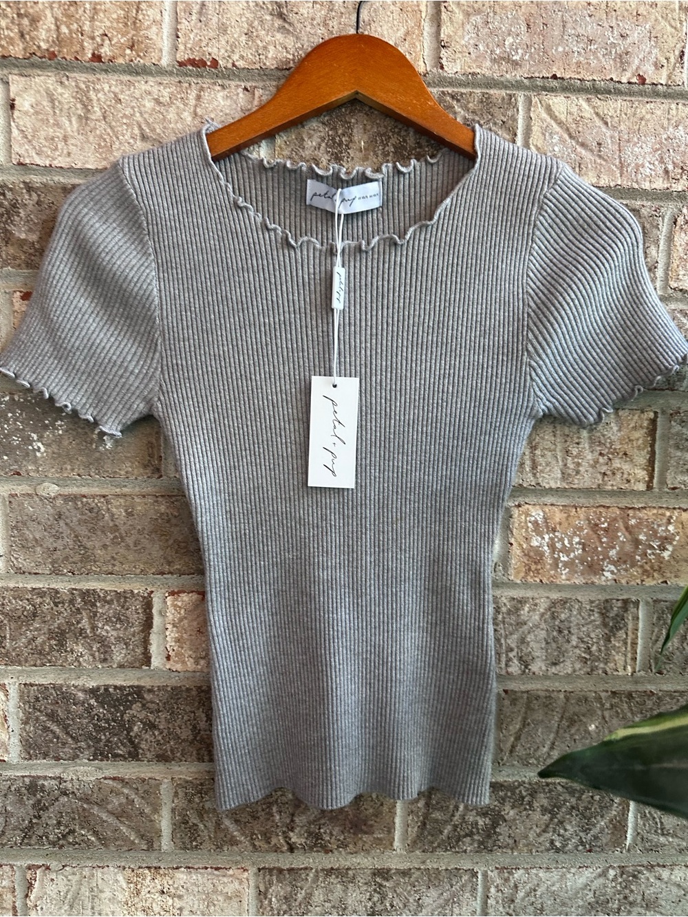 NWT Super stretchy Petal + Pup Ribbed Short Sleeve Knit Top - Gray XS